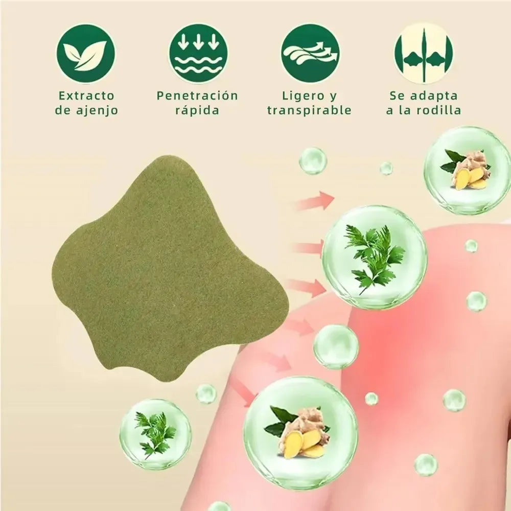PARCHE PARA DOLOR DE ESPALDA Y CUELLO